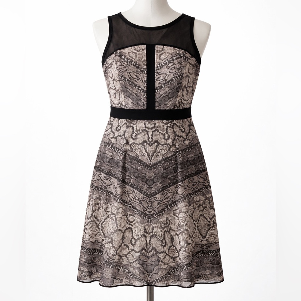 Black Lace Mini Dress Women Size L Sleeveless Mesh Sheer Fit Flare Buffalo